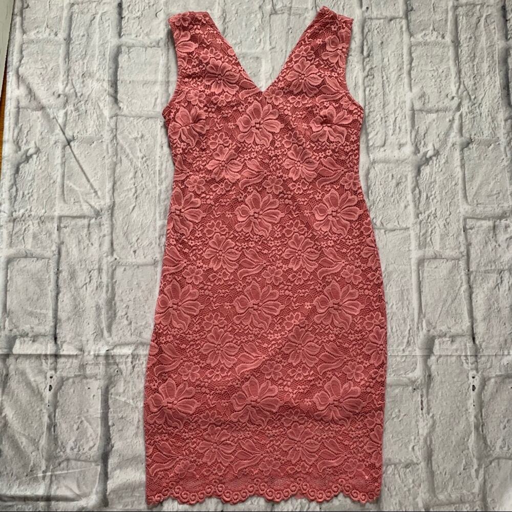 Belinda USA Blush V-neck Lace Dress, Sz L